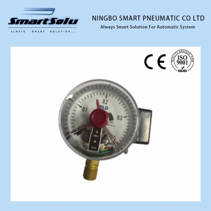High Quality Stainless Steel Vacuum Normal Snap-Action Electric Contact Pressure Gauge